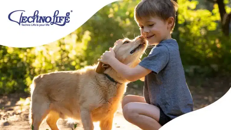 Parazité u zvířat